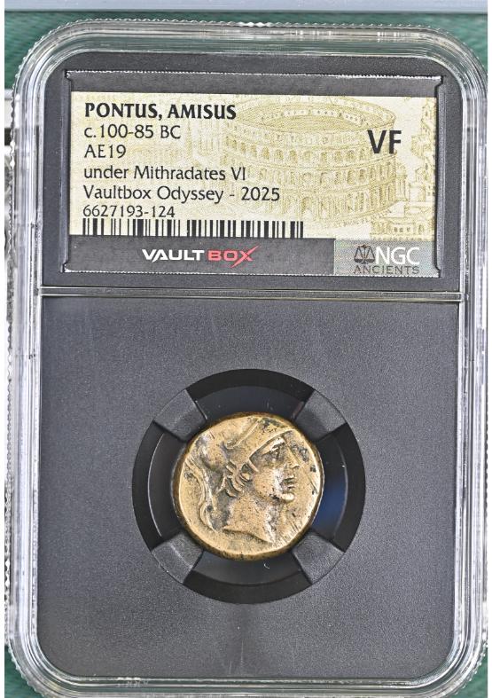 PONTUS